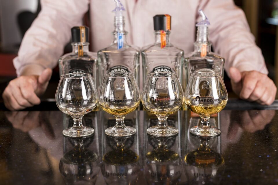 a man standing behind a row of wine glasses