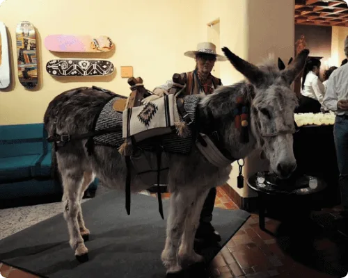 A costumed gray burro stands ready to serve guests inside a festive event space.