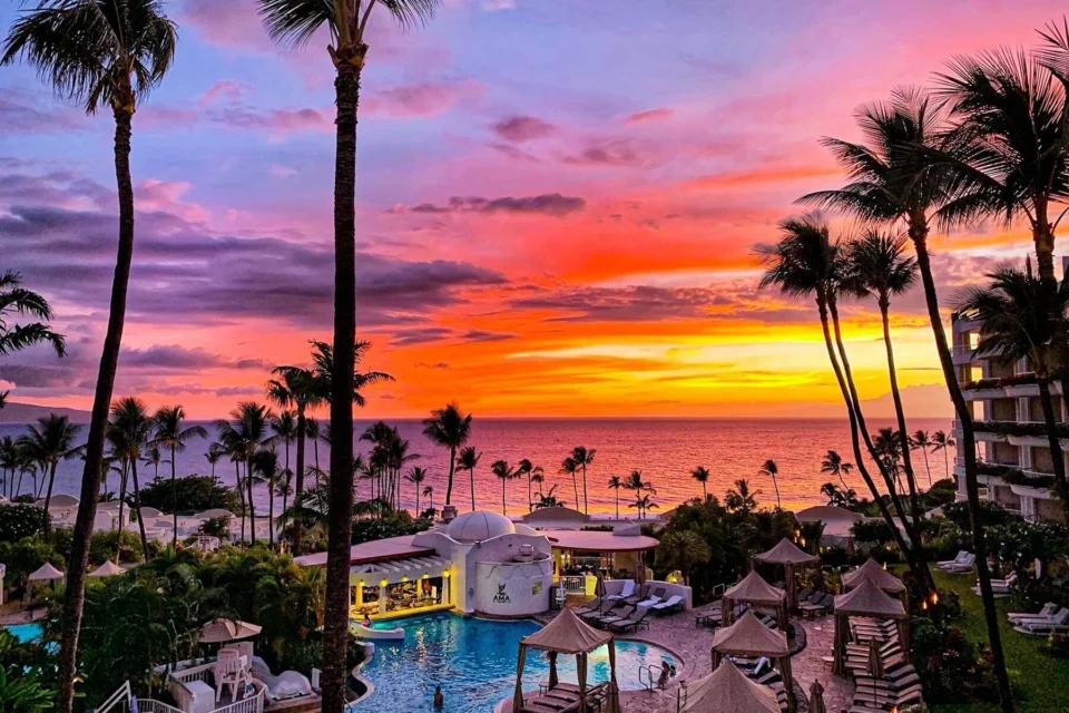 A luxury hotel swimming pool area is silhouetted by tall palm trees against a dramatic ocean sunset.