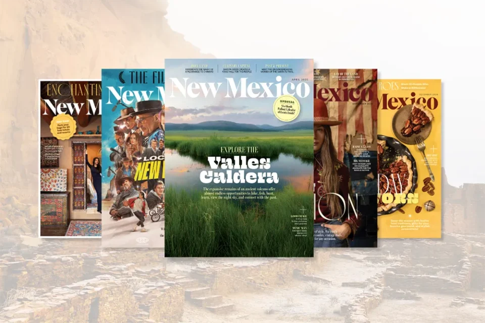 Five magazine covers showcasing regional culture, cuisine, and beautiful landscapes are displayed above ancient ruins.
