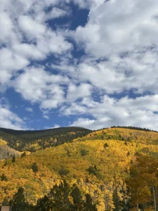 Santa Fe National Forest.