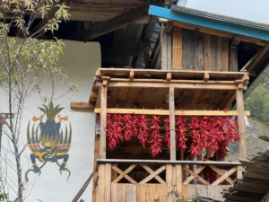 chile ristras in Bhutan.