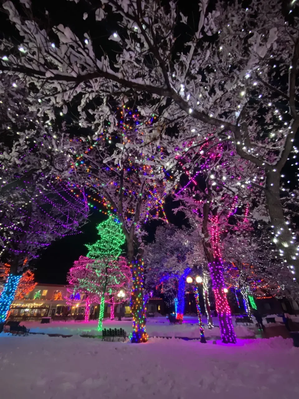holiday lights on the Santa Fe Plaza