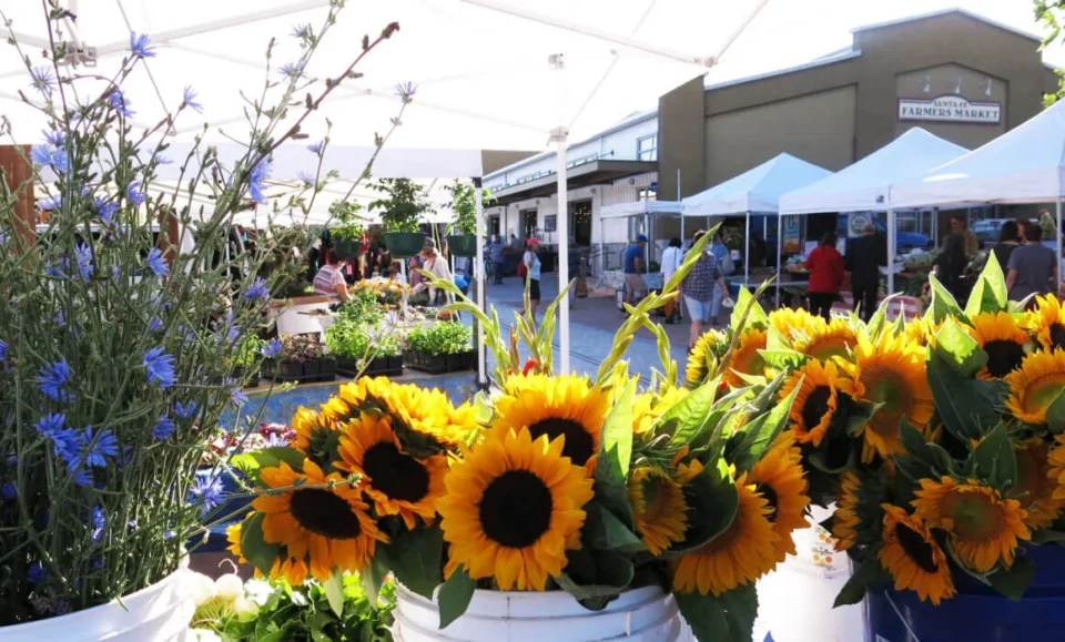 Vibrant sunflowers and blue wildflowers are displayed prominently at a bustling farmers market.