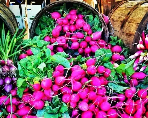 Bright pink radishes and purple onions are piled high, ready to be used in downtown Santa Fe restaurants.