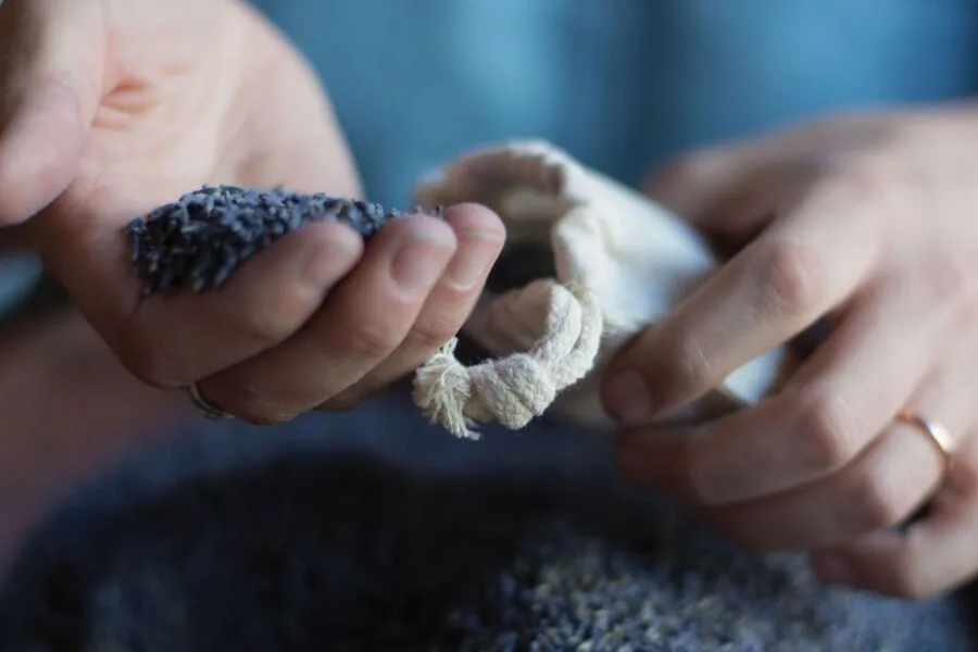 Hands carefully measure dried lavender buds into a small bag, symbolizing preparation for soothing spa services.