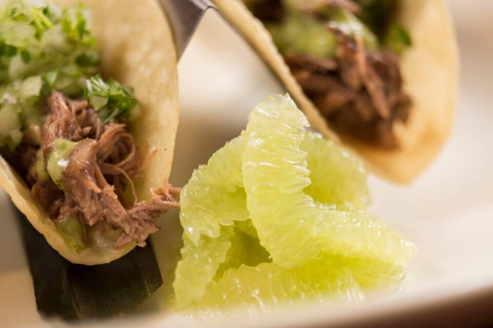 Two corn tortillas filled with shredded beef, green salsa, and cilantro are served with bright pomelo segments.