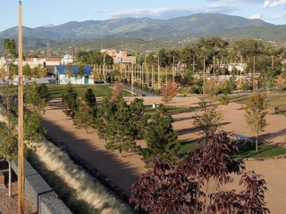 A Landscape With Trees And Buildings